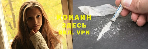 молекула духа Горно-Алтайск