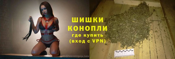 молекула духа Горно-Алтайск