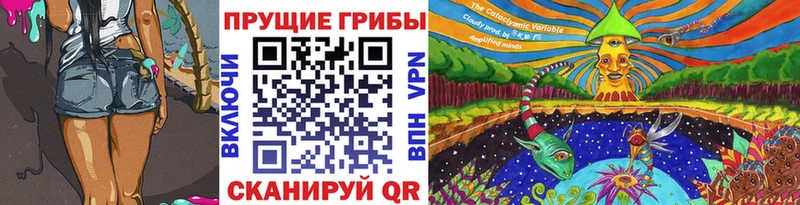 Купить где  Нурлат  Псилоцибиновые грибы Cubensis 